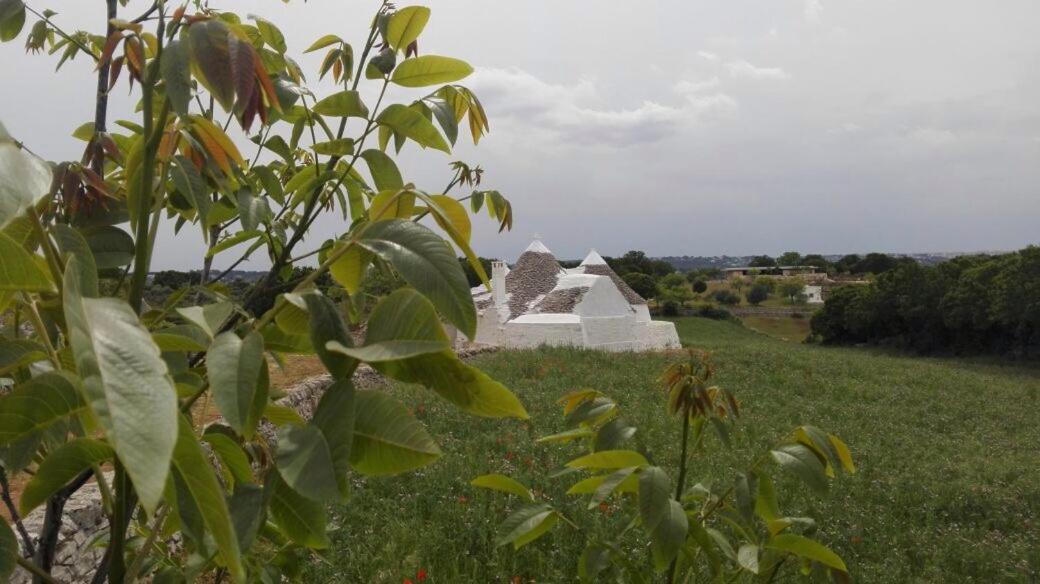 Bed and Breakfast Borgo Trulli 1789 Ostuni Exterior foto