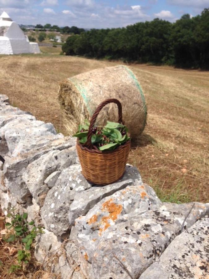 Bed and Breakfast Borgo Trulli 1789 Ostuni Exterior foto