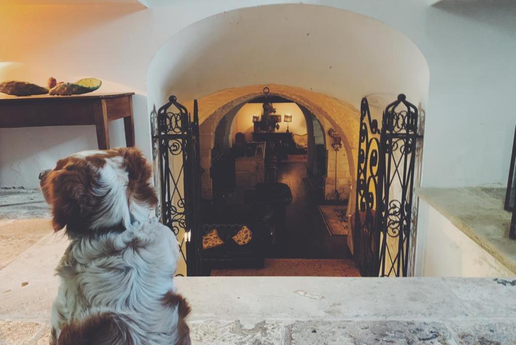 Bed and Breakfast Borgo Trulli 1789 Ostuni Exterior foto